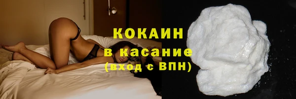гидра Мегион