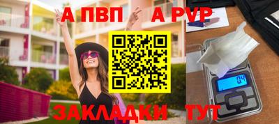 шишки Абакан