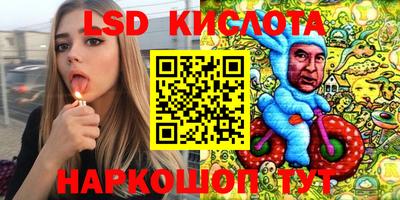 шишки Абакан