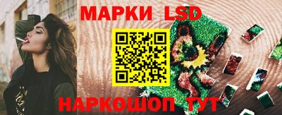 шишки Абакан