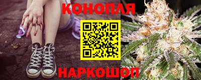 шишки Абакан
