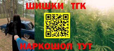 шишки Абакан