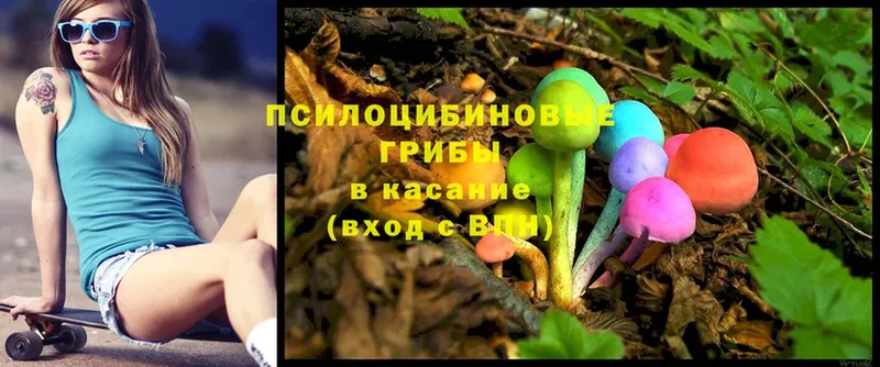 Галлюциногенные грибы Cubensis  Геленджик 