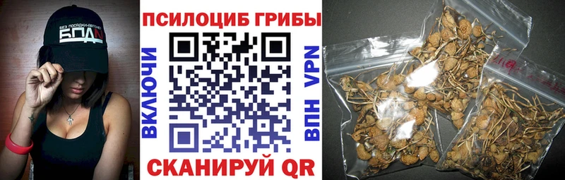 закладка  Геленджик  Псилоцибиновые грибы Magic Shrooms 